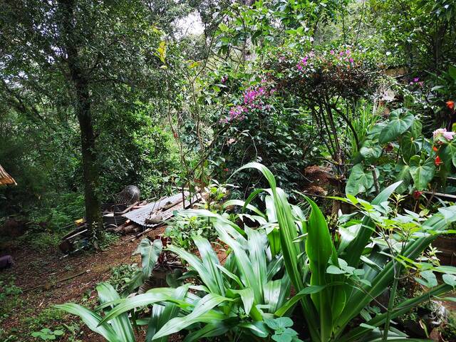 #2 - Terreno para Venta en Ciudad de Guatemala - Guatemala