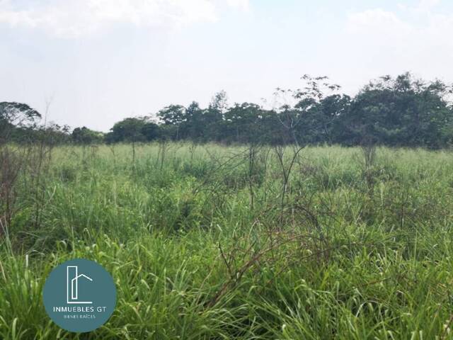 #5 - Área para Venta en Ciudad de Guatemala - Guatemala